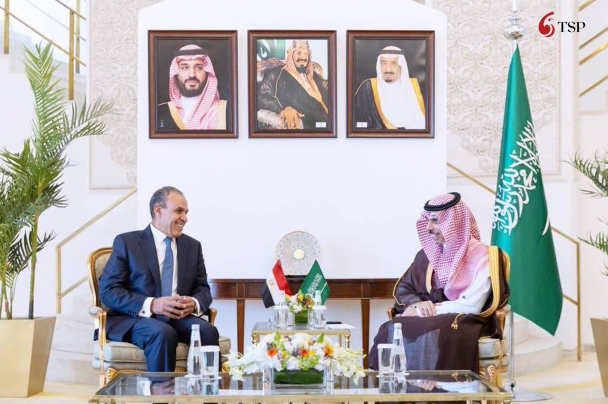 وزير الخارجيه يتلقي اتصالا